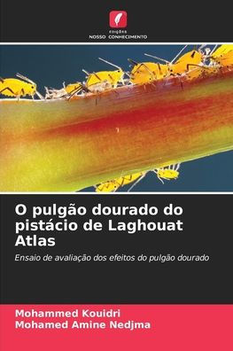 O pulgï¿½o dourado do pistï¿½cio de Laghouat Atlas