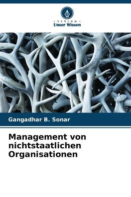 Management von nichtstaatlichen Organisationen