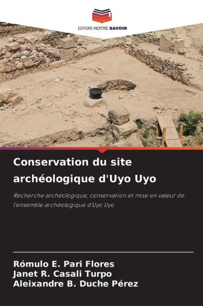 Conservation du site archï¿½ologique d'Uyo Uyo