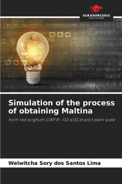 Simulation of the process of obtaining Maltina