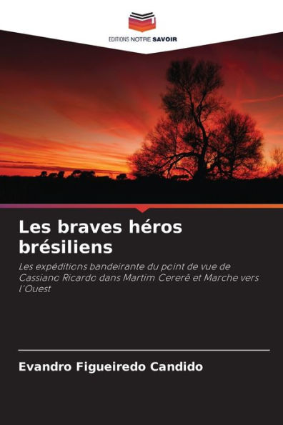 Les braves hï¿½ros brï¿½siliens