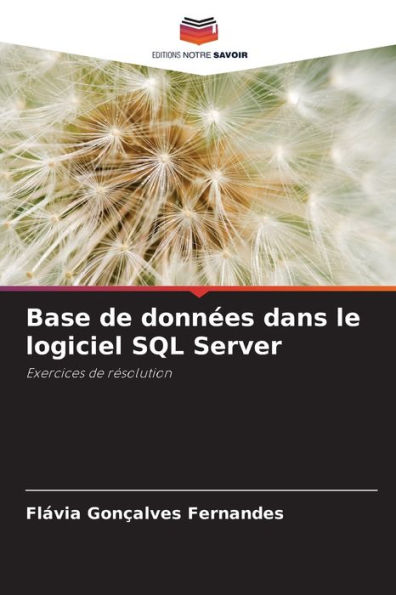 Base de donnï¿½es dans le logiciel SQL Server