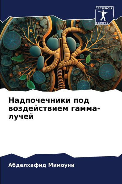 Надпочечники под воздействием гамма-луче