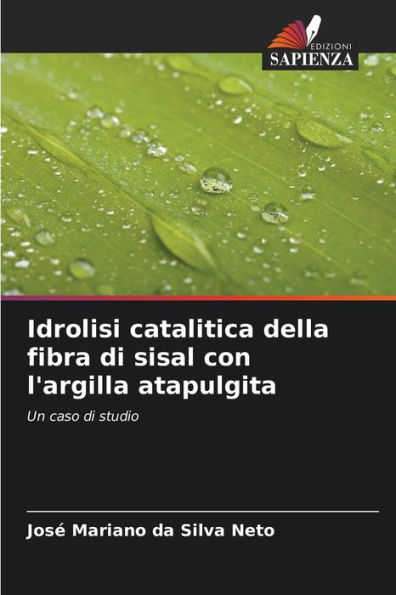 Idrolisi catalitica della fibra di sisal con l'argilla atapulgita