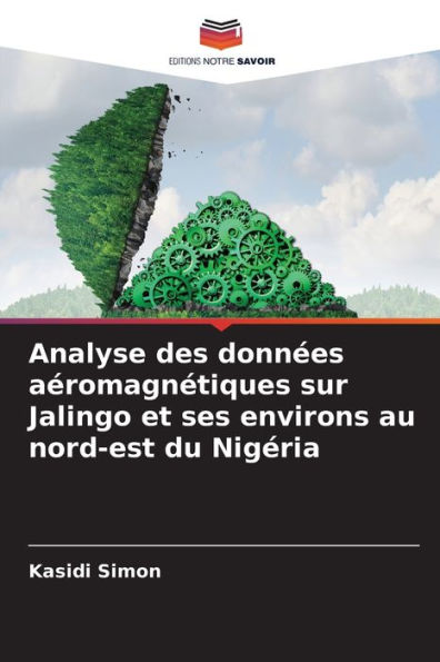 Analyse des donnï¿½es aï¿½romagnï¿½tiques sur Jalingo et ses environs au nord-est du Nigï¿½ria