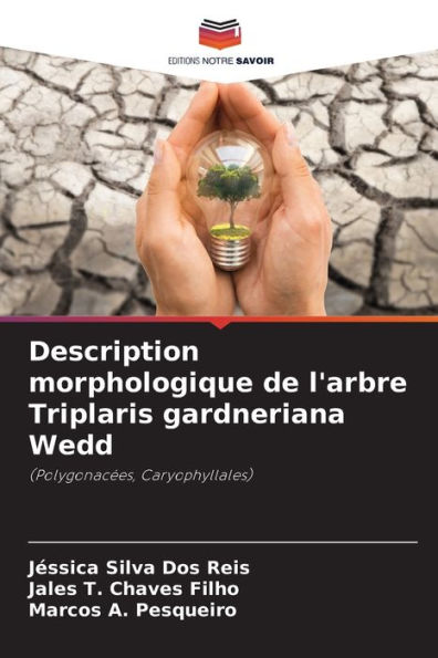 Description morphologique de l'arbre Triplaris gardneriana Wedd