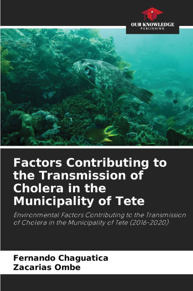 Factors Contributing to the Transmission of Cholera in the Municipality of Tete