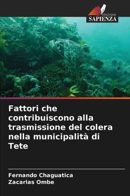 Fattori che contribuiscono alla trasmissione del colera nella municipalitï¿½ di Tete