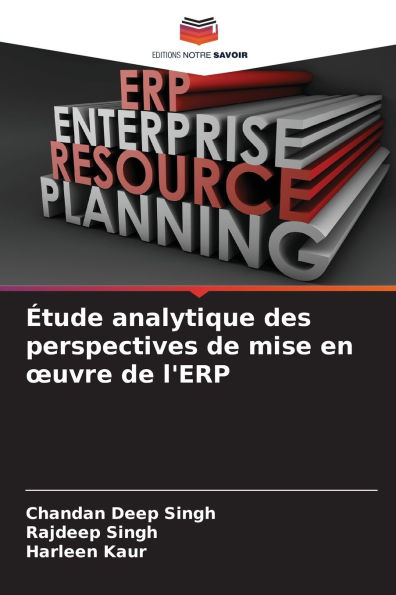ï¿½tude analytique des perspectives de mise en oeuvre de l'ERP