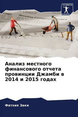 Анализ местного финансового отчета прови