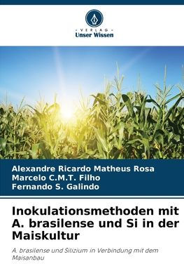 Inokulationsmethoden mit A. brasilense und Si in der Maiskultur