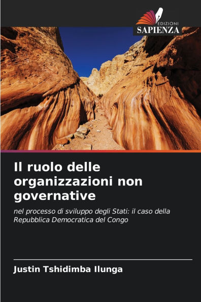 Il ruolo delle organizzazioni non governative