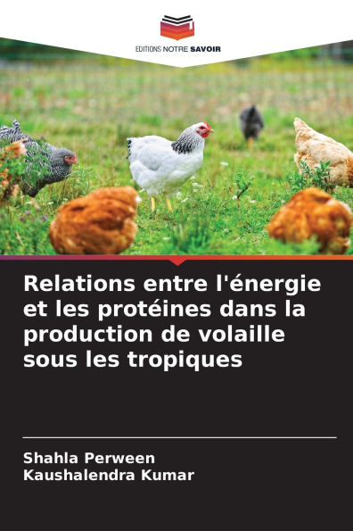 Relations entre l'ï¿½nergie et les protï¿½ines dans la production de volaille sous les tropiques