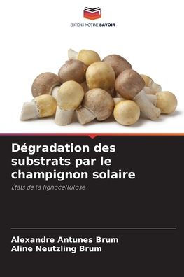 Dï¿½gradation des substrats par le champignon solaire