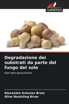 Degradazione dei substrati da parte del fungo del sole