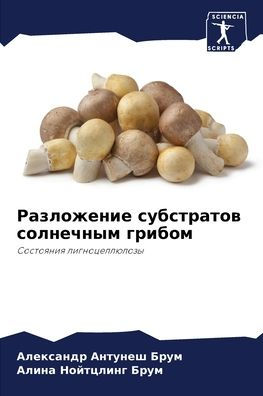 Разложение субстратов солнечным грибом