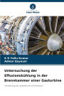 Untersuchung der Effusionskï¿½hlung in der Brennkammer einer Gasturbine