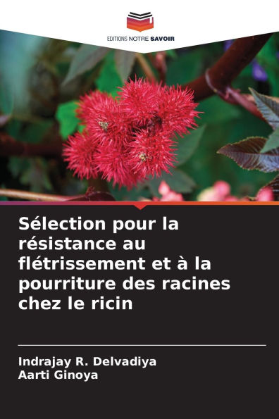 S�lection pour la r�sistance au fl�trissement et � la pourriture des racines chez le ricin