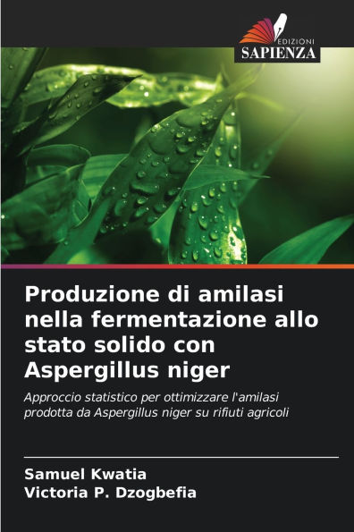 Produzione di amilasi nella fermentazione allo stato solido con Aspergillus niger