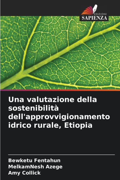 Una valutazione della sostenibilitï¿½ dell'approvvigionamento idrico rurale, Etiopia