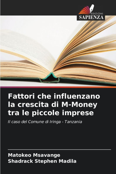 Fattori che influenzano la crescita di M-Money tra le piccole imprese