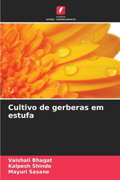 Cultivo de gerberas em estufa