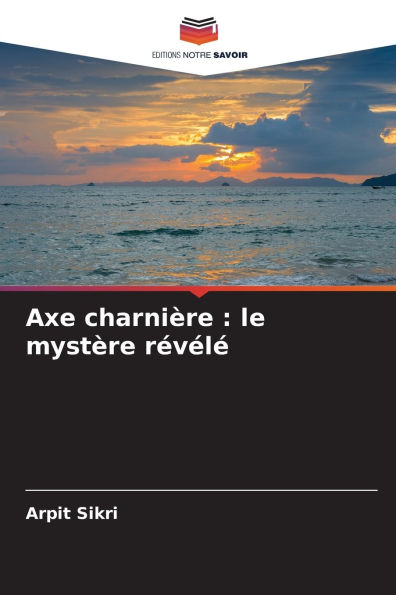 Axe charniï¿½re: le mystï¿½re rï¿½vï¿½lï¿½