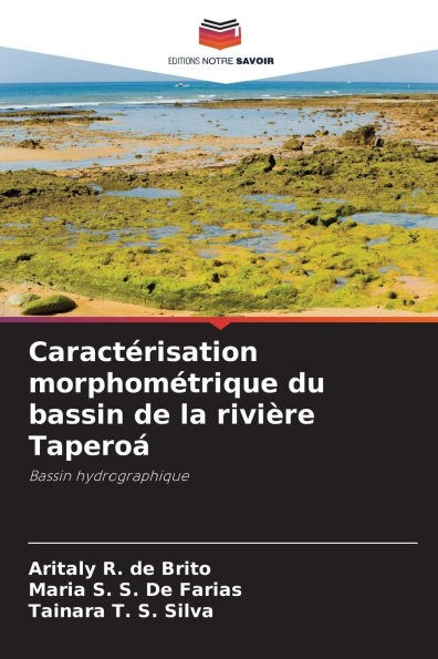 Caractï¿½risation morphomï¿½trique du bassin de la riviï¿½re Taperoï¿½