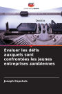 ï¿½valuer les dï¿½fis auxquels sont confrontï¿½es les jeunes entreprises zambiennes