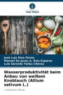 Wasserproduktivitï¿½t beim Anbau von weiï¿½em Knoblauch (Allium sativum L.)