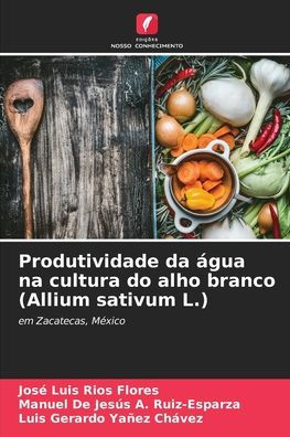 Produtividade da ï¿½gua na cultura do alho branco (Allium sativum L.)
