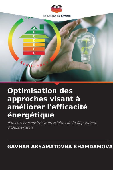 Optimisation des approches visant ï¿½ amï¿½liorer l'efficacitï¿½ ï¿½nergï¿½tique