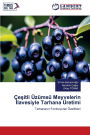 ï¿½eşitli ï¿½zï¿½msï¿½ Meyvelerin İlavesiyle Tarhana ï¿½retimi