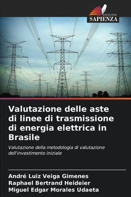 Valutazione delle aste di linee di trasmissione di energia elettrica in Brasile