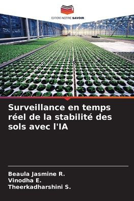 Surveillance en temps rï¿½el de la stabilitï¿½ des sols avec l'IA