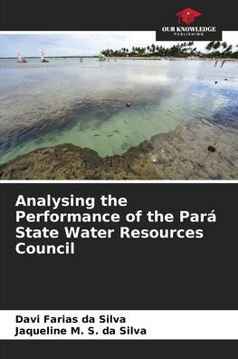 Analysing the Performance of the Parï¿½ State Water Resources Council