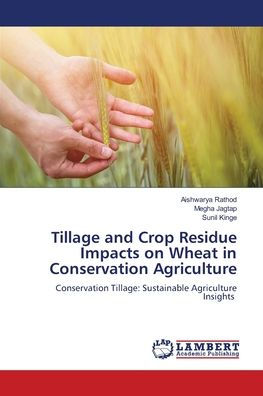 Tillage and Crop Residue Impacts on Wheat in Conservation Agriculture