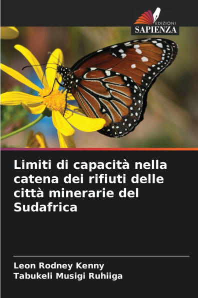 Limiti di capacitï¿½ nella catena dei rifiuti delle cittï¿½ minerarie del Sudafrica