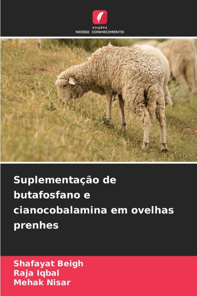 Suplementaï¿½ï¿½o de butafosfano e cianocobalamina em ovelhas prenhes