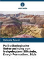 Palï¿½oï¿½kologische Untersuchung von freigelegtem Siltstein, Enagi-Formation, Bida