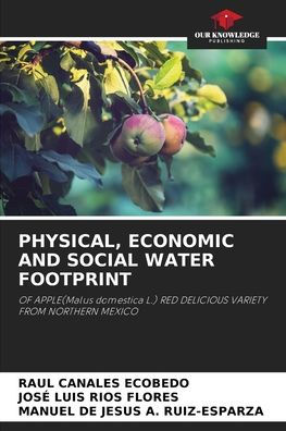 Physical, Economic and Social Water Footprint