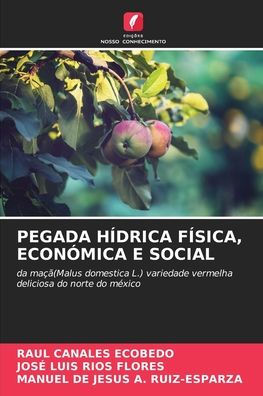 Pegada Hï¿½drica Fï¿½sica, Econï¿½mica E Social