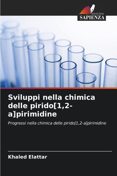 Sviluppi nella chimica delle pirido[1,2-a]pirimidine