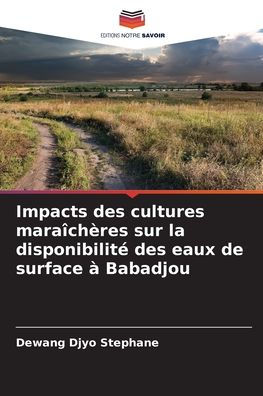 Impacts des cultures maraï¿½chï¿½res sur la disponibilitï¿½ des eaux de surface ï¿½ Babadjou