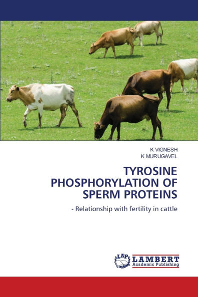 Tyrosine Phosphorylation of Sperm Proteins