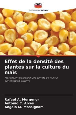 Effet de la densitï¿½ des plantes sur la culture du maï¿½s