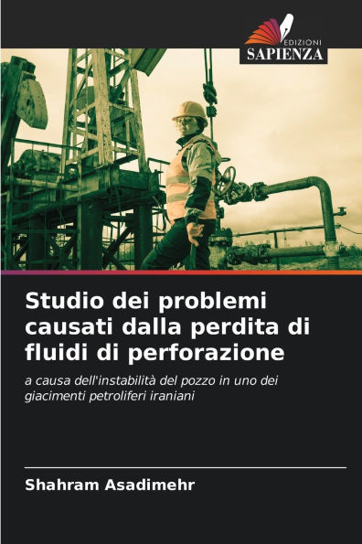 Studio dei problemi causati dalla perdita di fluidi di perforazione