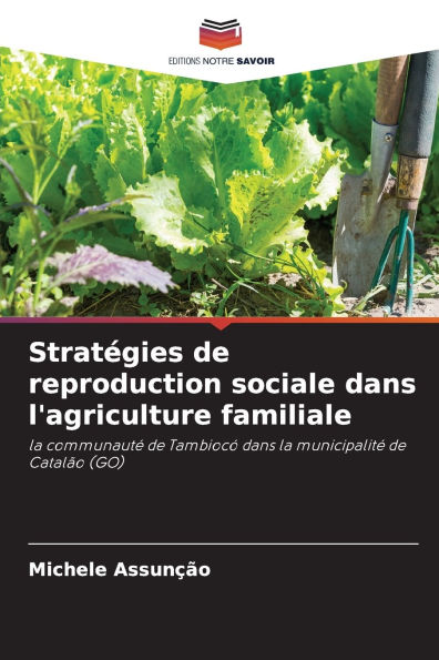 Stratï¿½gies de reproduction sociale dans l'agriculture familiale