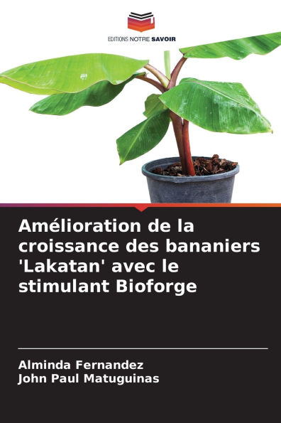 Amï¿½lioration de la croissance des bananiers 'Lakatan' avec le stimulant Bioforge