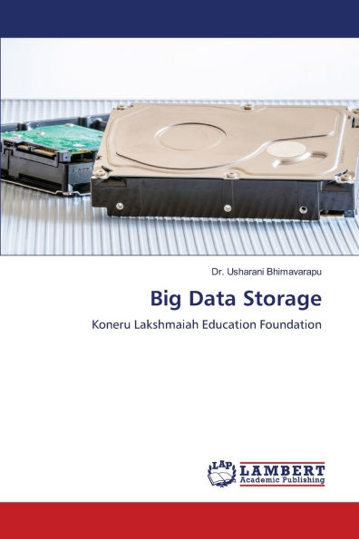 Big Data Storage